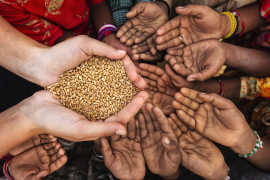 Thumbnail for 7003478