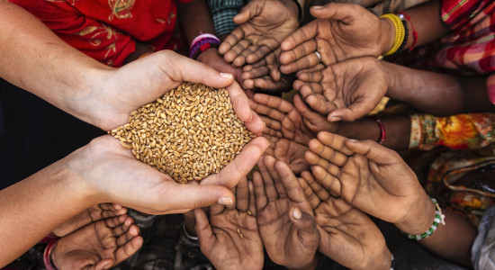 Thumbnail for 7003478