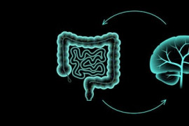 Thumbnail for 7003630