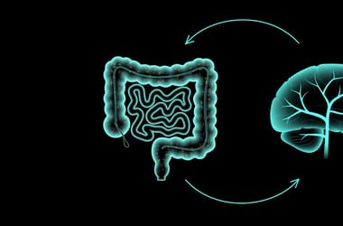 Thumbnail for 7003630