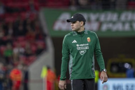 Thumbnail for 7003668