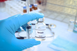 Thumbnail for 7004085