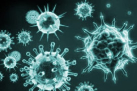 Thumbnail for 7004263