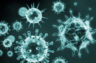 Thumbnail for 7004263