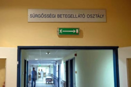 Thumbnail for 7004528