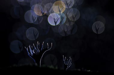 Thumbnail for 7004731