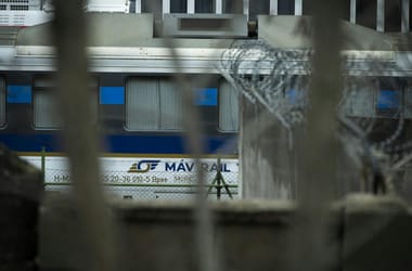 Thumbnail for 7004778