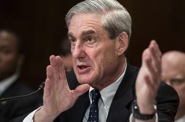 Thumbnail for 7004784