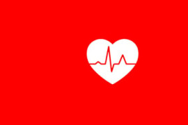 Thumbnail for 7005058