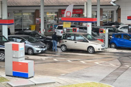 Thumbnail for 7005166