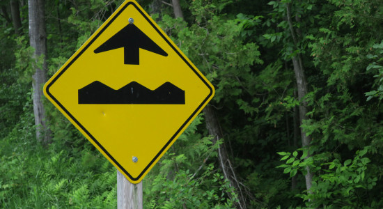 Thumbnail for 7005174