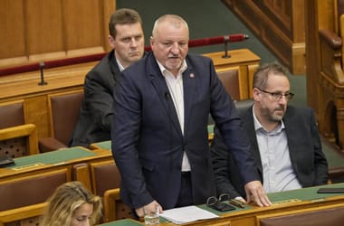 Thumbnail for 7005325