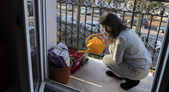 Thumbnail for 7005410