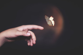 Thumbnail for 7005603