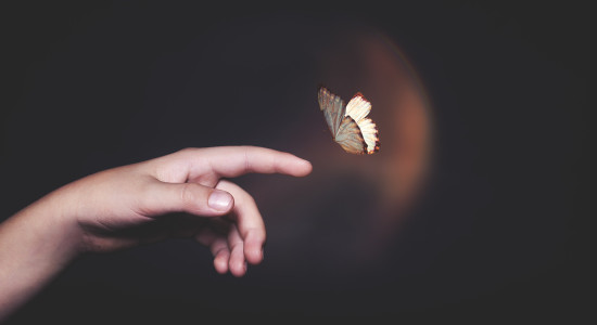 Thumbnail for 7005603