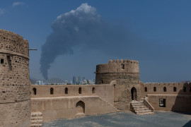 Thumbnail for 7005631