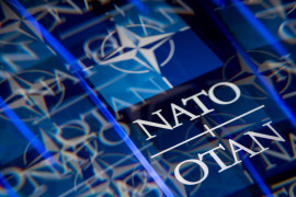 Thumbnail for 7005746