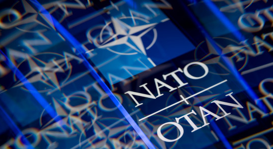 Thumbnail for 7005746