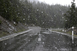 Thumbnail for 7005807