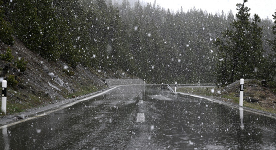 Thumbnail for 7005807