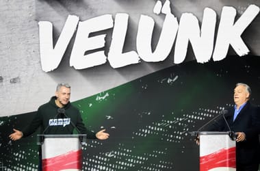 Thumbnail for 7005810