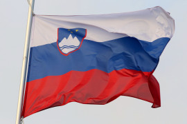 Thumbnail for 7005840