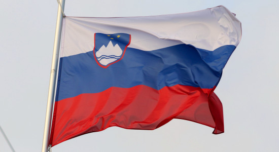 Thumbnail for 7005840