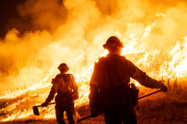 Thumbnail for 7006183