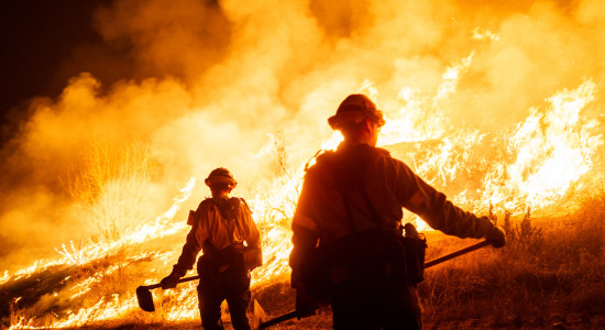 Thumbnail for 7006183