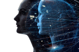 Thumbnail for 7006253