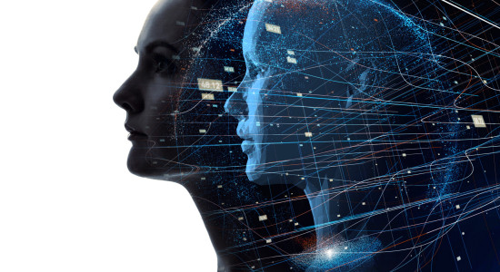 Thumbnail for 7006253