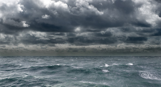 Thumbnail for 7006375