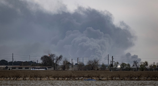 Thumbnail for 7006399