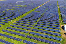 Thumbnail for 7006405