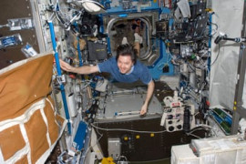 Thumbnail for 7006428