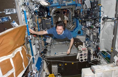 Thumbnail for 7006428