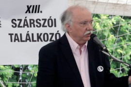 Thumbnail for 7006732