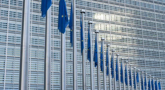 Thumbnail for 7006785