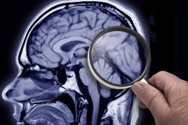 Thumbnail for 7006847