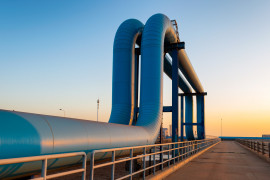 Thumbnail for 7006881