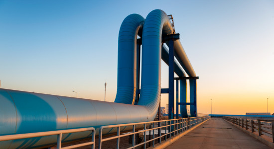 Thumbnail for 7006881