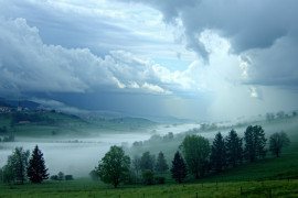 Thumbnail for 7006998