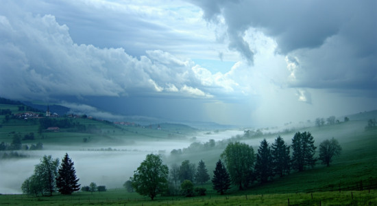 Thumbnail for 7006998