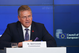 Thumbnail for 7007057