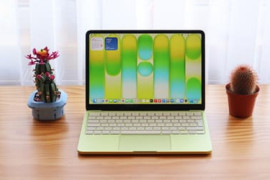 Thumbnail for 7007282