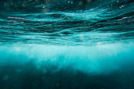 Thumbnail for 7007417