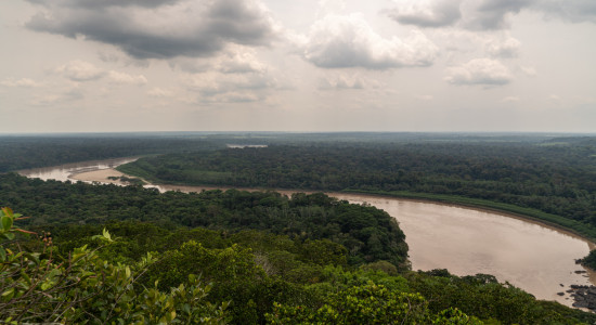 Thumbnail for 7007434