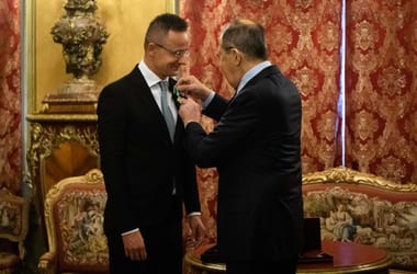 Thumbnail for 7007544