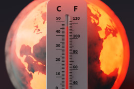 Thumbnail for 7007758