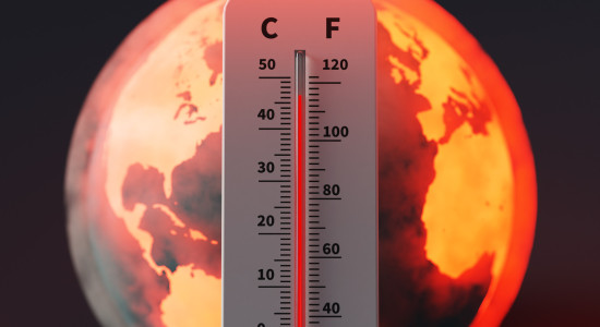 Thumbnail for 7007758